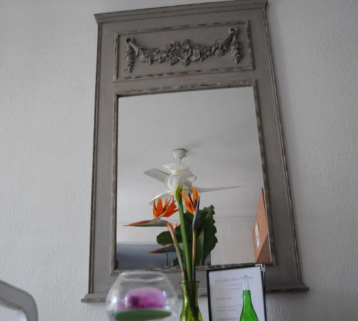 Hotel La Villa Des Oliviers Cagnes-sur-Mer
